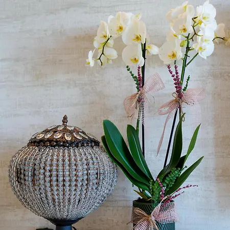 Saranta Otel Ahmetce (Kirklareli)