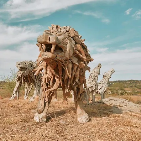 Otel Saranta Ahmetce (Kirklareli)